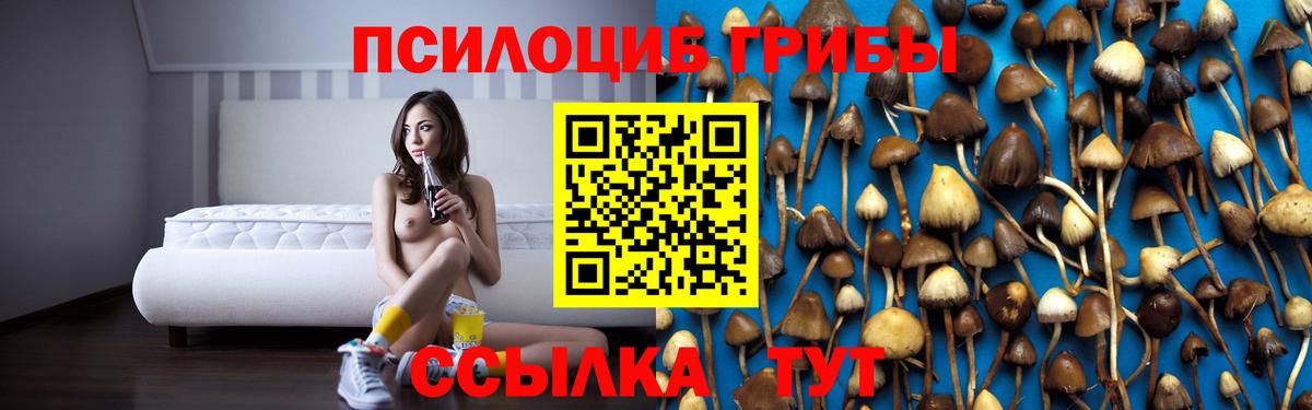 Спасск-Дальний  закладка  Вход с VPN  Галлюциногенные грибы GOLDEN TEACHER 